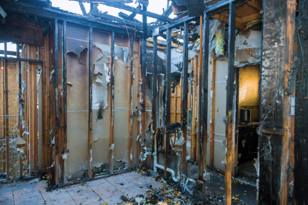 Professional Soot Cleanup technician working in Snead, AL